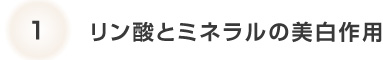 1	リン酸とミネラルの美白作用