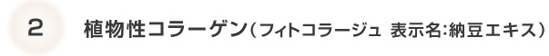 植物性コラーゲン （フィトコラージュ 表示名：納豆エキス）