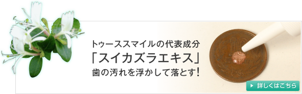 トゥーススマイルの代表成分「スイカズラエキス」歯の汚れを浮かして落とす！詳しくはこちら